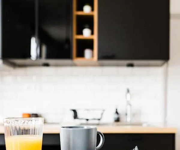 L'audacieux Lumineux Renove Et Equipe En Centre Apartment