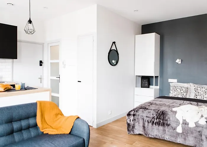 L'audacieux Lumineux Renove Et Equipe En Centre *