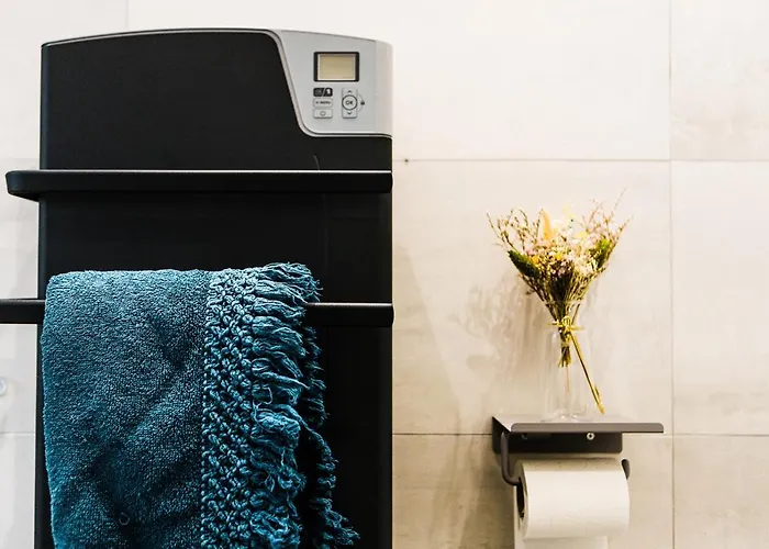 L'audacieux Lumineux Renove Et Equipe En Centre * Fontenay-le-Comte